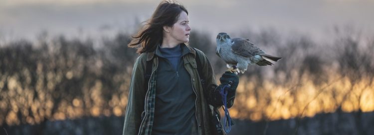 H Is For Hawk – Review – Just A Little Bit Random
